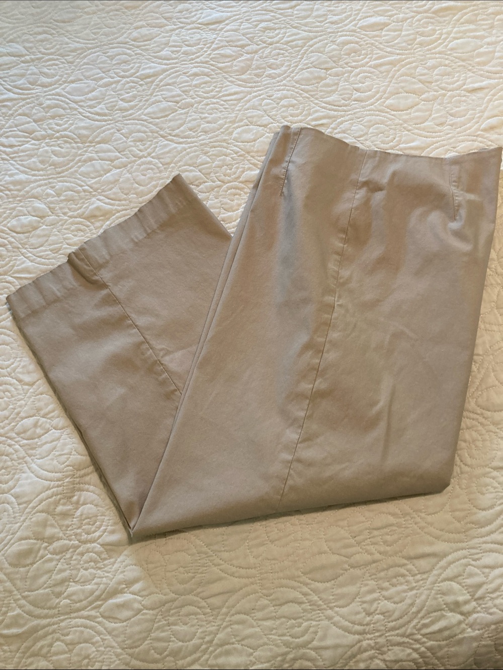 Chico's Neutral Wide-Leg Pants in Taupe